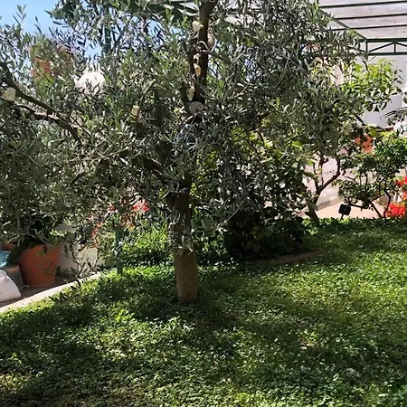 Casa San Matteo - Apartment *