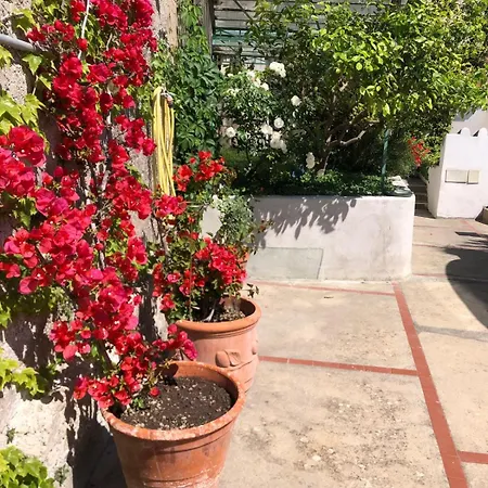 Casa San Matteo - Apartment Positano